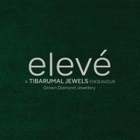 Elevé by Tibarumal logo - Similar company to Goodfellas Barber And Brand