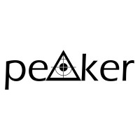 PEAKER SOFT YAZILIM SANAYİ TİCARET LİMİTED ŞİRKETİ logo - Similar company to Sukont A.Ş.