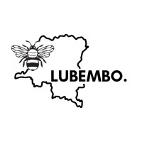 Lubembo Co. logo - Similar company to Kinspots.Co