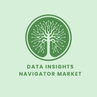 Data Insights Navigator Market logo - Similar company to Thinkmarket Studio Group