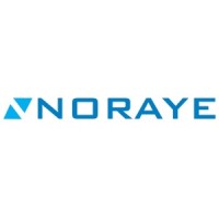 Noraye logo - Similar company to Expanded Learning Solutions