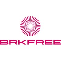 BRKFREE logo - Similar company to Data Solutions Consulting Inc