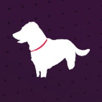 Black Shepherd Strategies logo - Similar company to Black Shepherd Technologies