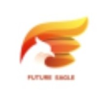 Future Eagle Consultants logo - Similar company to Career Certification