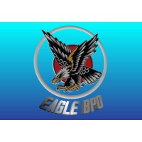 Eagle BPO Pvt Ltd logo - Similar company to Digital Dispatch Support