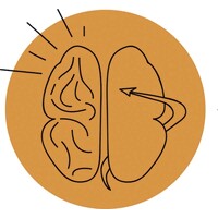Het sensum instituut logo - Similar company to Stichting De Windroos