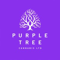 Purple Tree Cannabis logo - Similar company to Benji