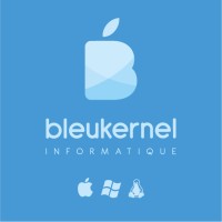 BLEUKERNEL INFORMATIQUE NANCY logo - Similar company to Tecsoft Informatique
