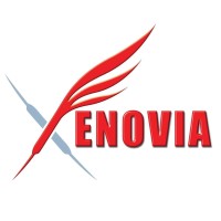 XENOVIA LIMITED logo - Similar company to Mandala Best (Business Engineering Solutions & Technologies)