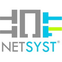 NetSyst logo - Similar company to Firstheberg.Com