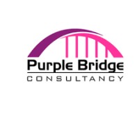 Purple Bridge Consultant logo - Similar company to Purple Bridge