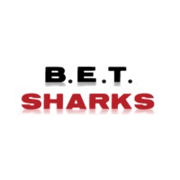B.E.T. Sharks Consultancy logo - Similar company to Teona & Co