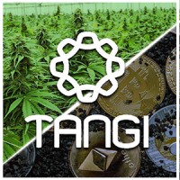 Tangi logo - Similar company to Africanna™ Cooperative
