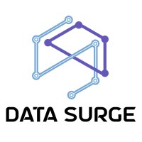 Data Surge logo - Similar company to Datasurge