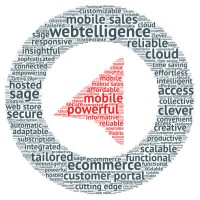 North49 Business Solutions logo - Similar company to S-Metric, Inc