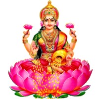 VIJAYALAKSHMI ENTERPRISES logo - Similar company to Sencorp Systems