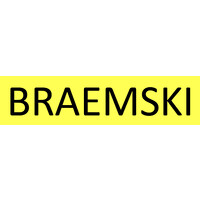 BRAEMSKI logo - Similar company to Solidus Capital