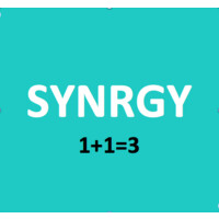Synrgy Marketing logo - Similar company to Boss Network Solutions