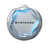 SYNTHARA Business Solutions logo - Similar company to Synara.Ai