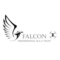 Falcon UAV logo - Similar company to Uav Solutions