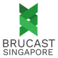 BRUCAST SINGAPORE - Number 1 Distributor of SafeTech's PPE in South East Asia logo - Similar company to Advanced Fluid Technology (Aft)