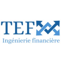 TEF INGENIERIE FINANCIERE logo - Similar company to Infini Legno