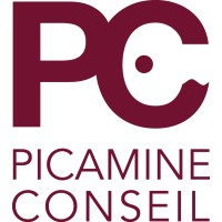 PICAMINE Conseil logo - Similar company to Flex Multimedia Group