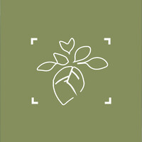 Plantenplafond logo - Similar company to Studio Moid