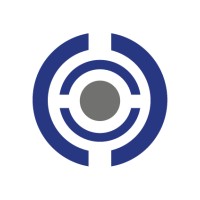 Belstone Management Services logo - Similar company to Lestari Project Services