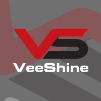 Veeshine Facility Solutions Pvt Ltd logo - Similar company to Vanguard Force Pvt Ltd