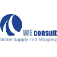 WE Consult logo - Similar company to Netwas Uganda