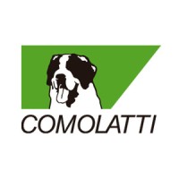Grupo Comolatti logo - Similar company to B  R Auto Parts