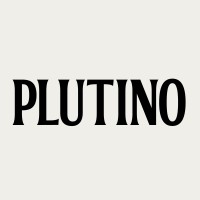 Plutino Group logo - Similar company to Nuscreen Inc.