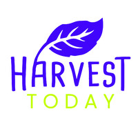 Harvest Today LATAM logo - Similar company to Harvest Today