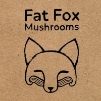 Fat Fox Mushrooms logo - Similar company to East London Mushroom Collective