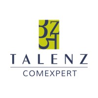 TALENZ COMEXPERT logo - Similar company to Talenz Audit