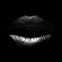 Collectif Management & Media logo - Similar company to Sax