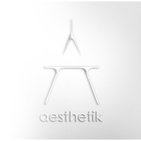 Aesthetik Design Agency logo - Similar company to Hm Creatives