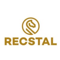 Recstal Pvt Ltd logo - Similar company to Sd Medsec Services