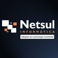 Netsul Informática logo - Similar company to Netsul