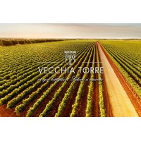 Cantina Vecchia Torre logo - Similar company to Cantele Winery