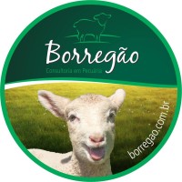 Borregão - Consultoria em Pecuária