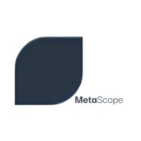 MetaScope Consulting logo - Similar company to Rotamundos