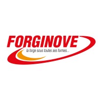 FORGINOVE logo - Similar company to Someri