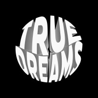 TrueDreams GmbH logo - Similar company to Wigasoft Ag