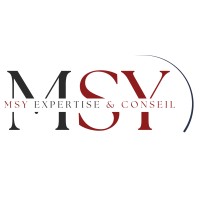 MSY EXPERTISE & CONSEIL logo - Similar company to 101 Conseils