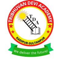 Tribhuvan Devi Academy logo - Similar company to Nuviverse