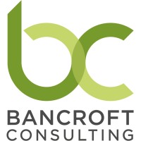 Bancroft Consulting Limited logo - Similar company to Touch Developments Limited