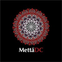 MettaDC logo - Similar company to Area 31