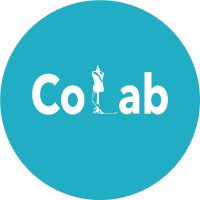 CoLab Consulting 🎗️ logo - Similar company to Gowper®